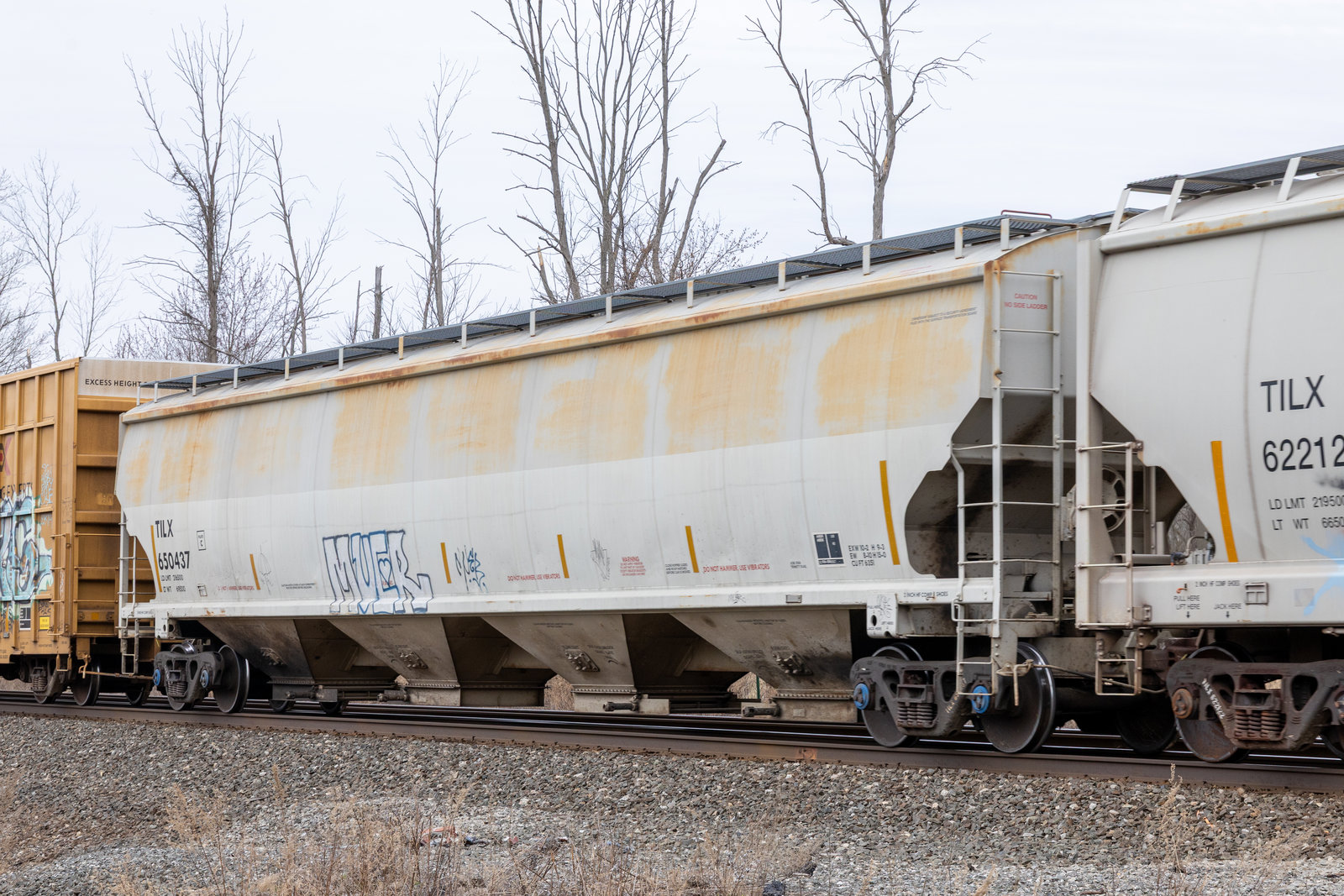 TILX 650437