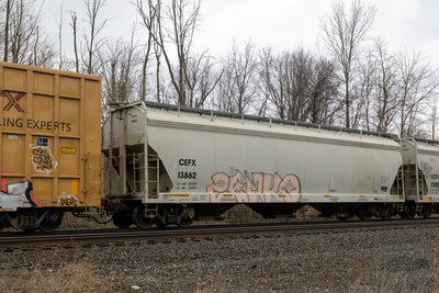 CEFX 13862