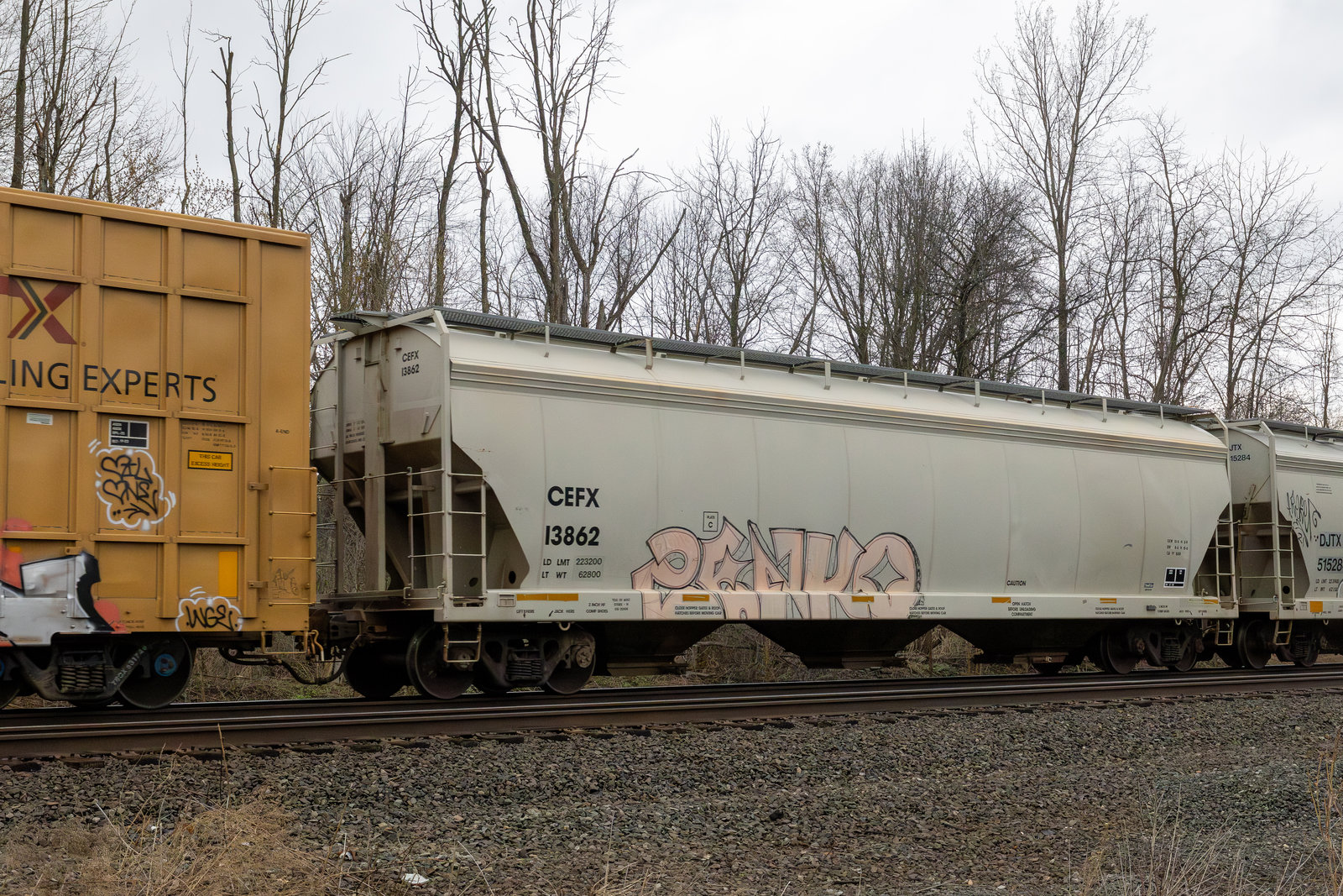 CEFX 13862