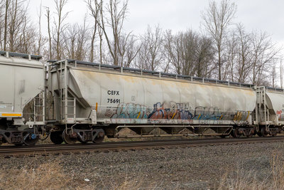 CEFX 75691