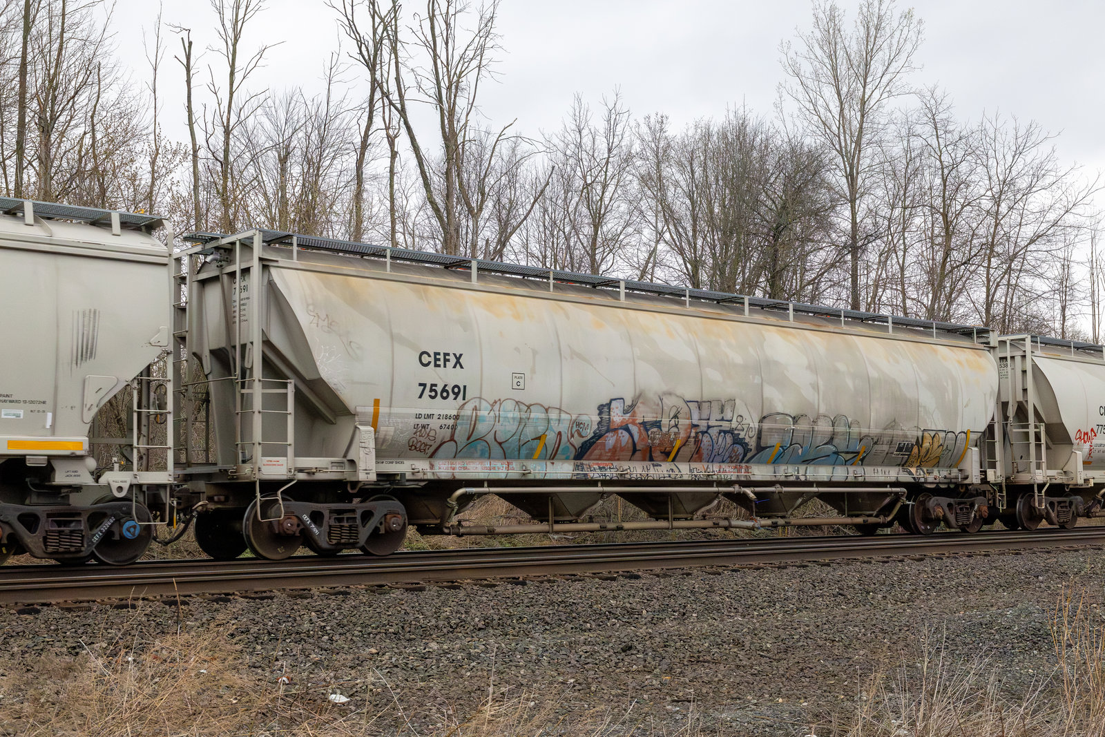 CEFX 75691
