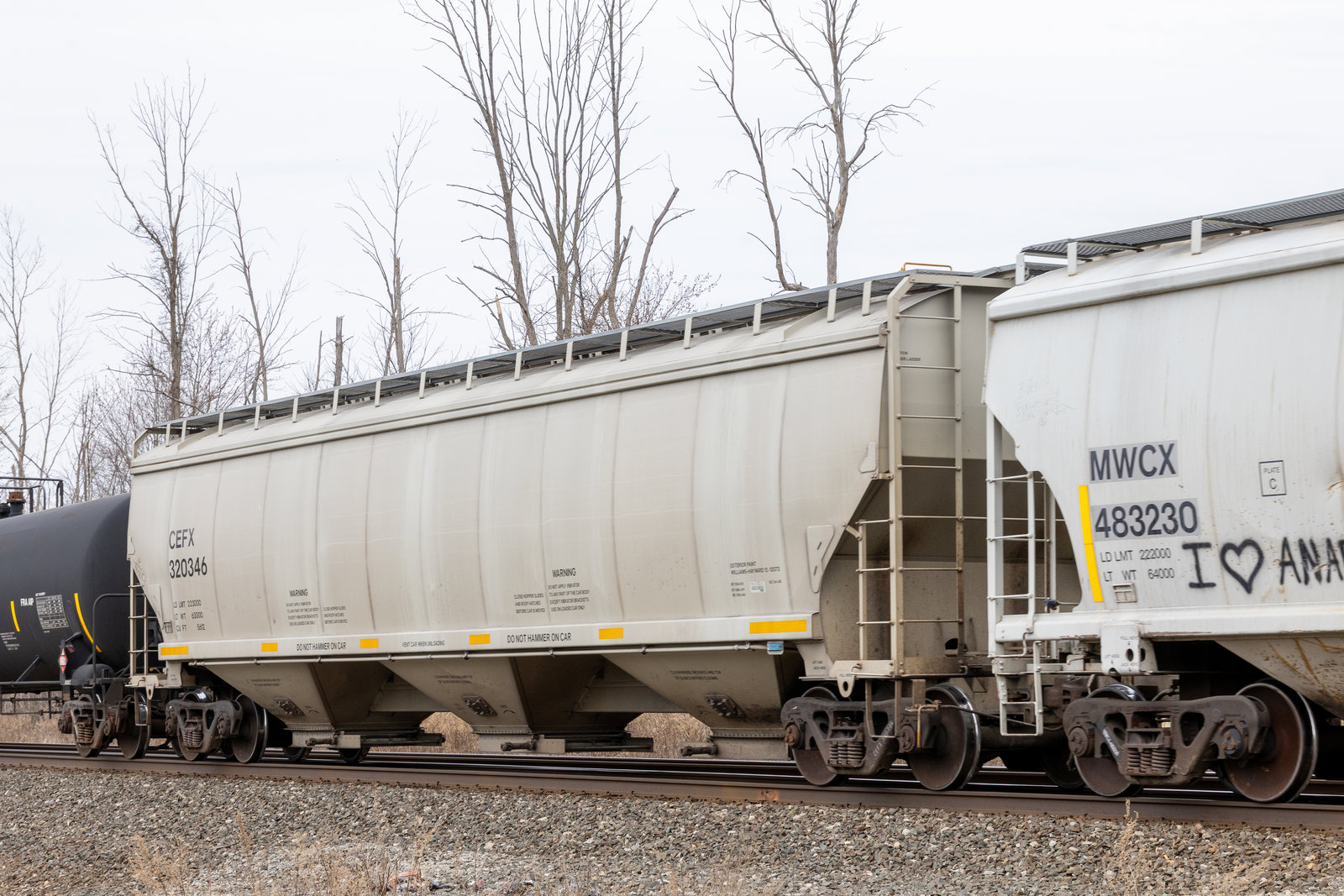CEFX 320346