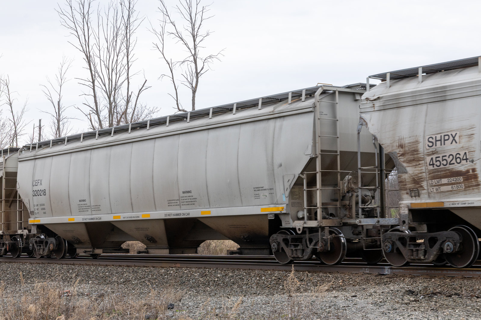 CEFX 320218