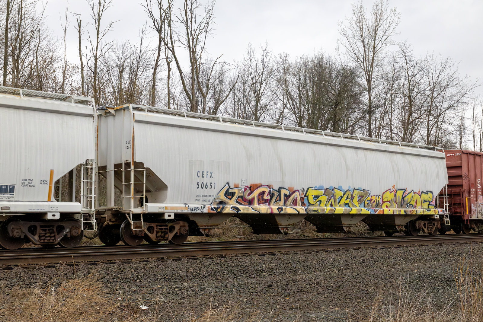 CEFX 50651