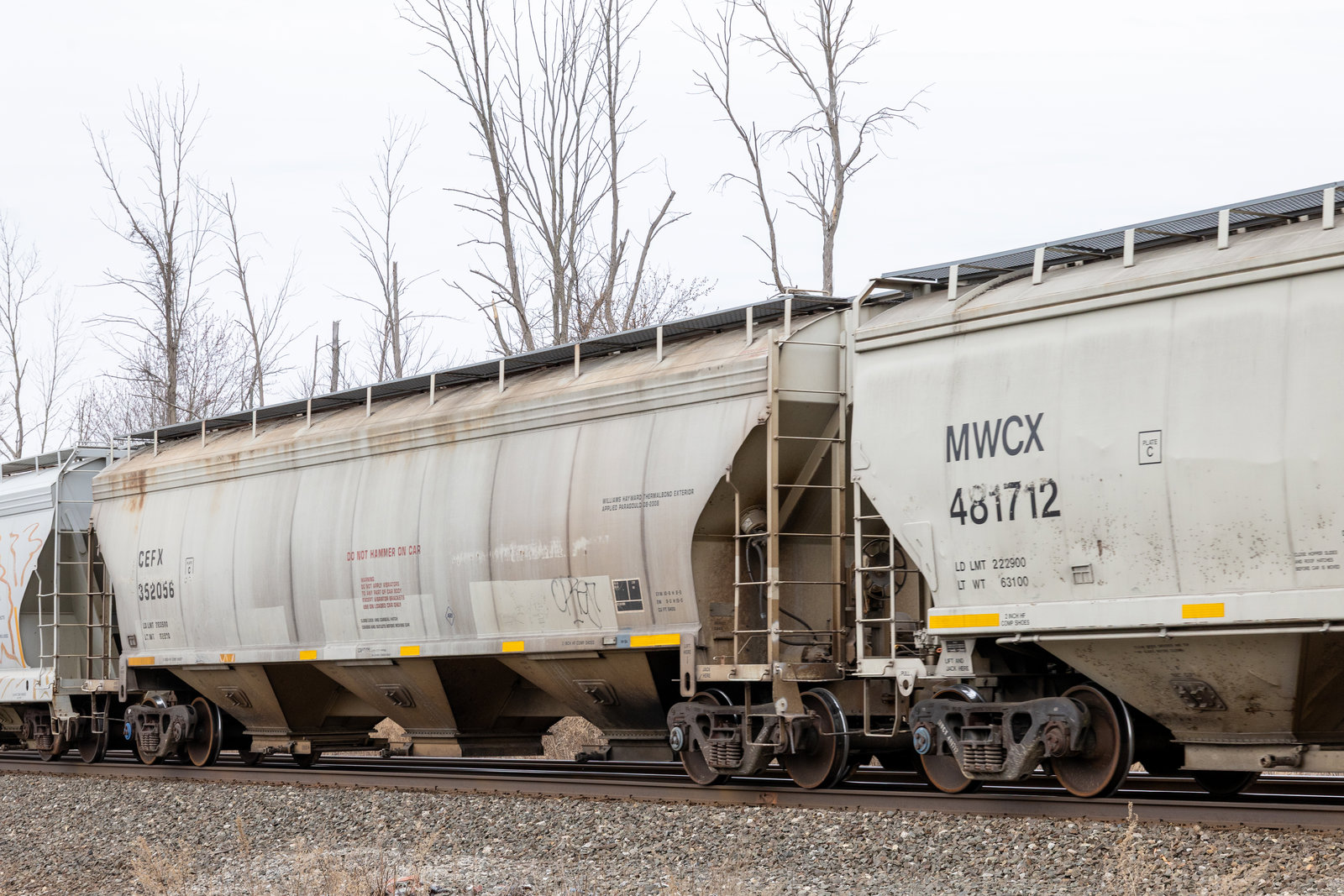 CEFX 352056