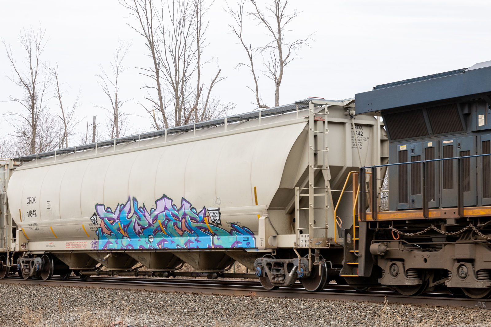 CRDX 11842