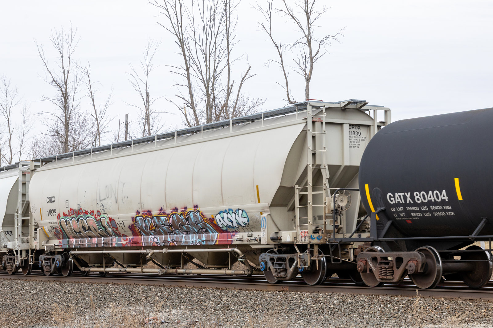 CRDX 11839