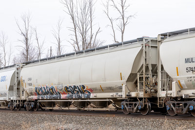 CRDX 11836