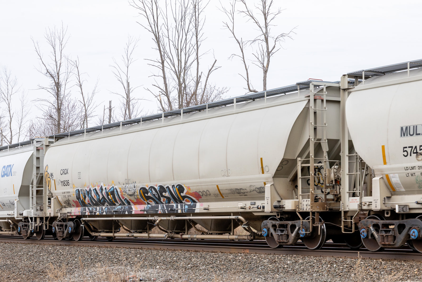 CRDX 11836