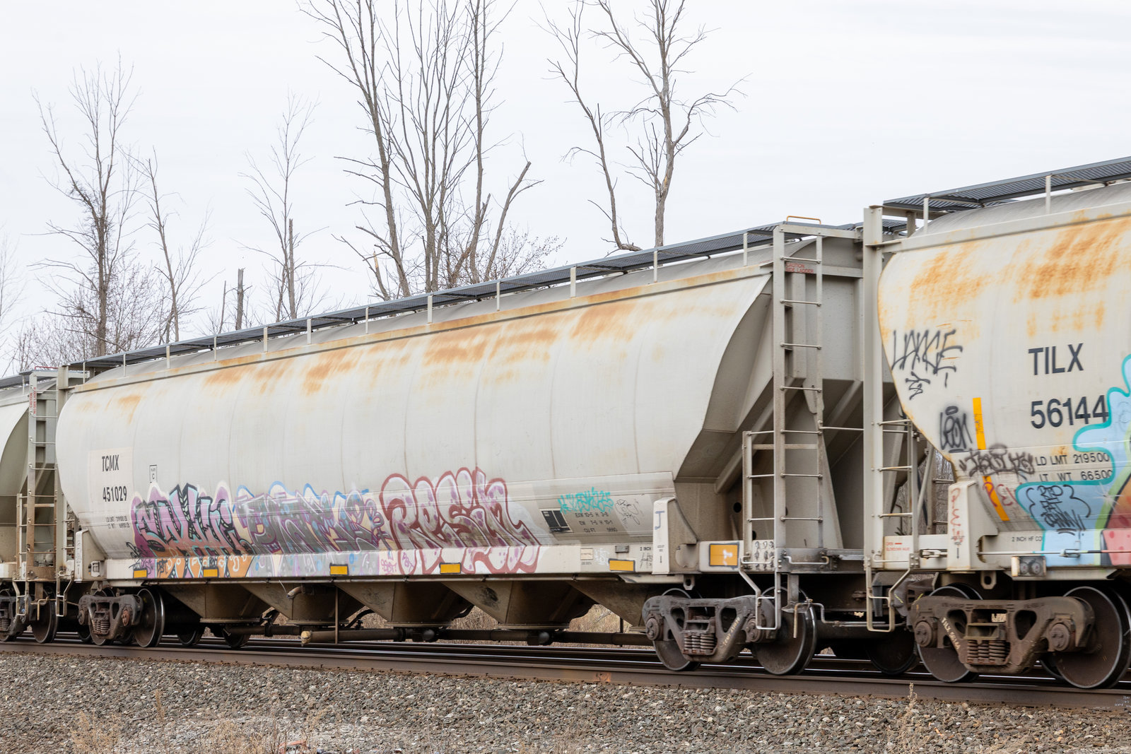 TCMX 451029