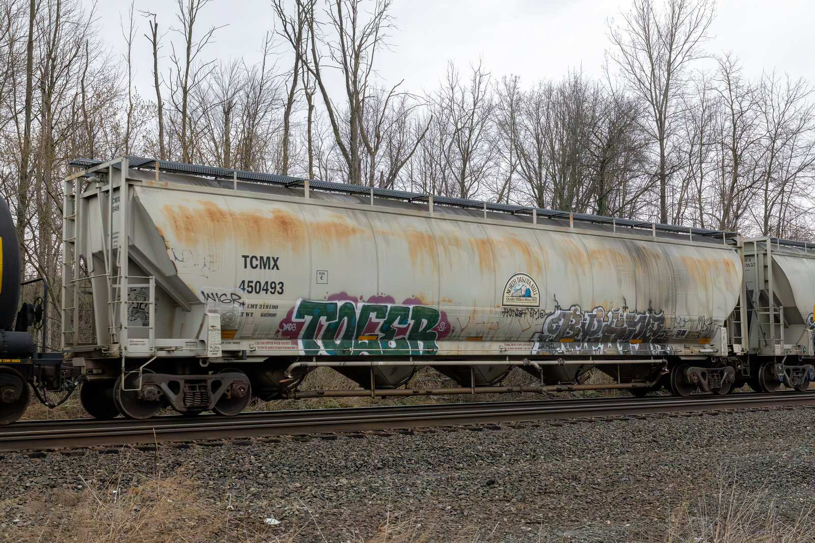 TCMX 450493
