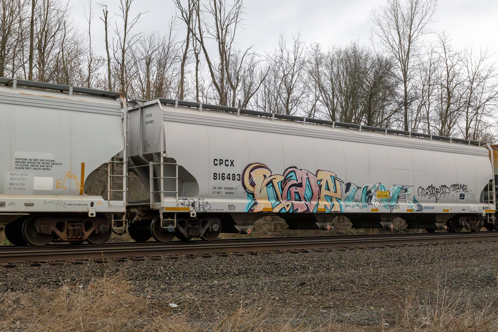 CPCX 816483