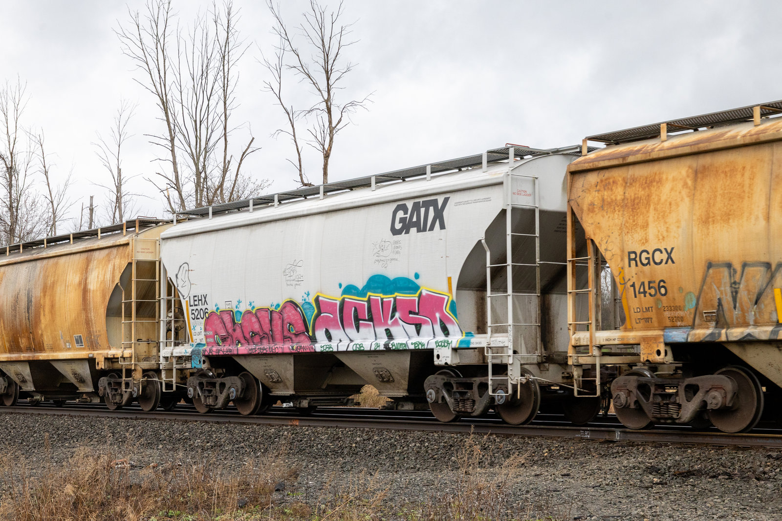 LEHX 5206