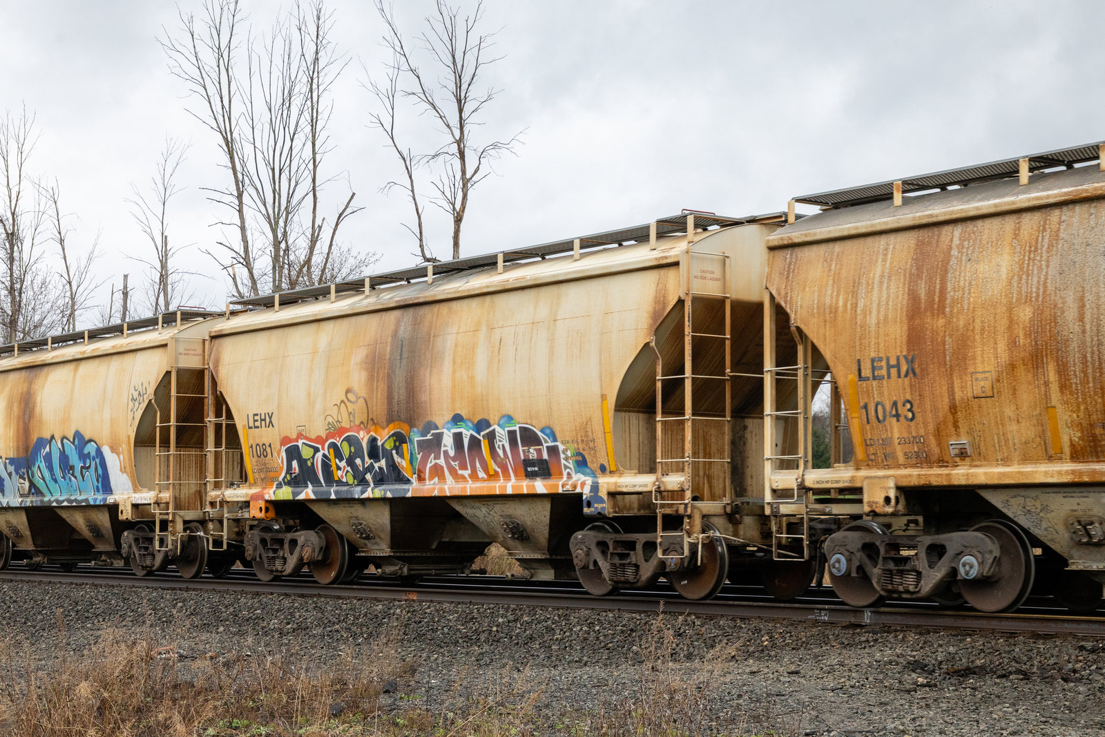 LEHX 1081
