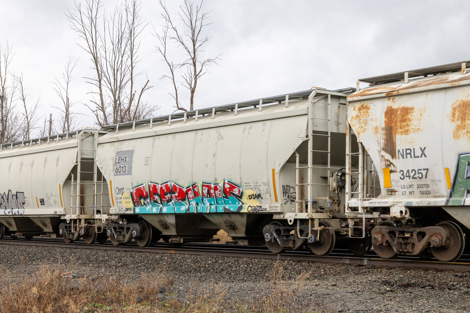 LEHX 6013