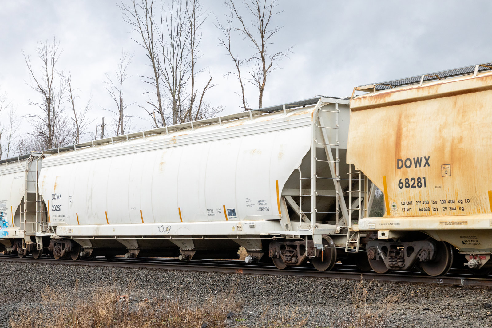 DOWX 20287