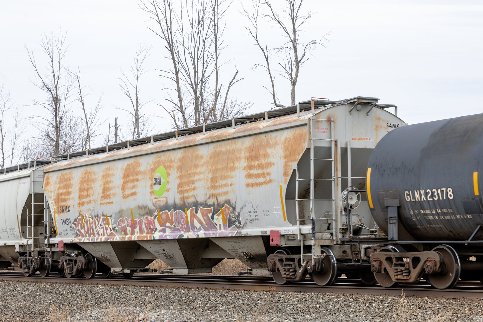SAMX 11459