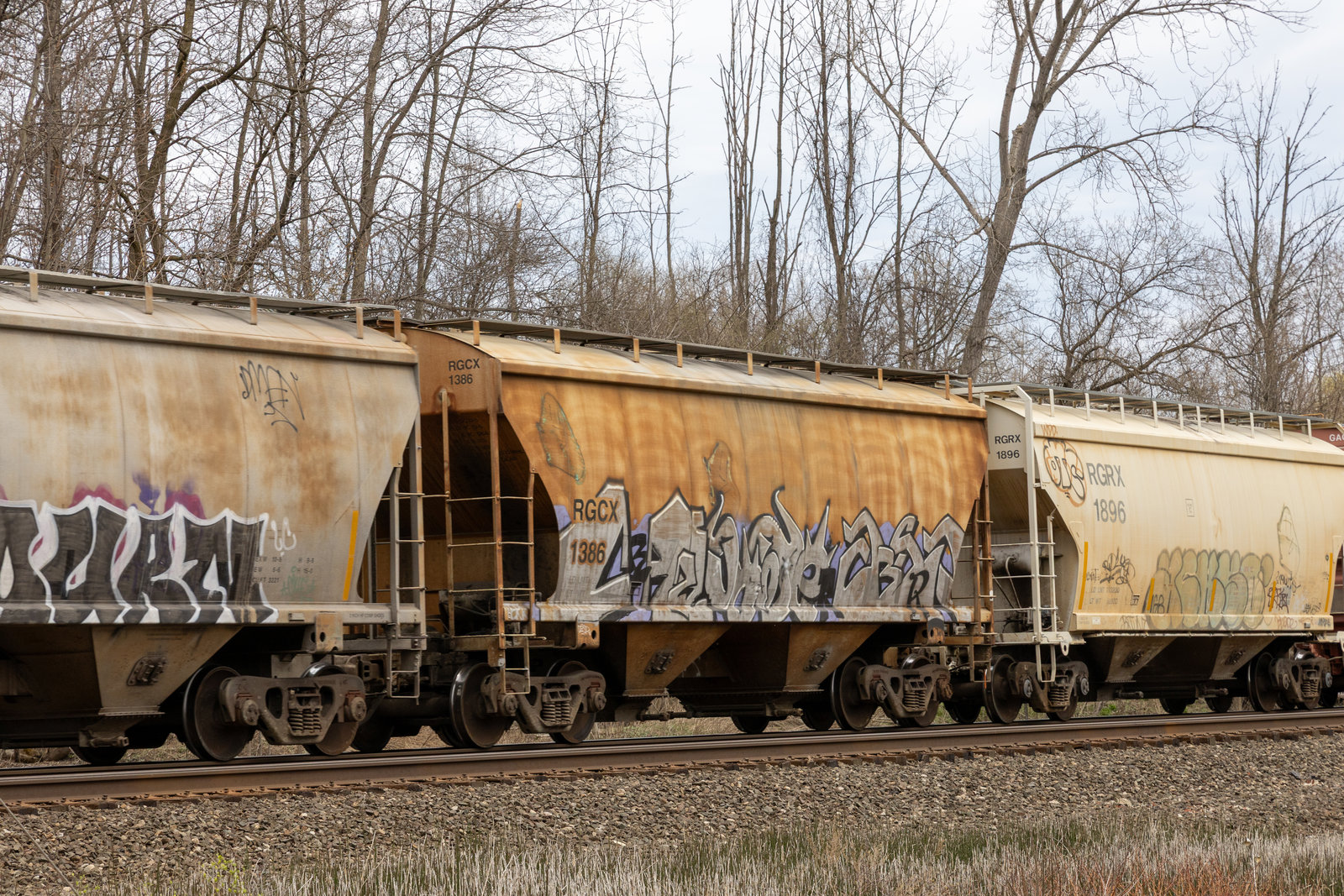 RGCX 1386