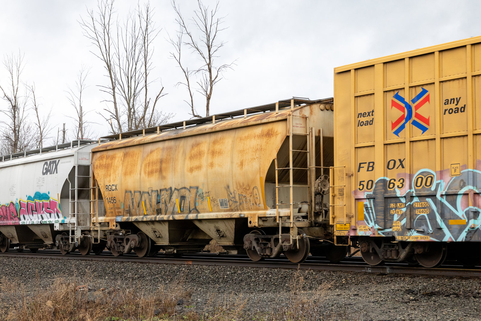 RGCX 1456