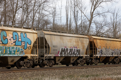 RGCX 20213