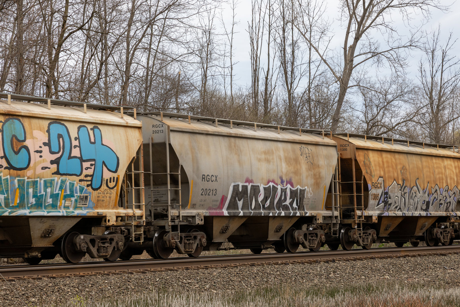 RGCX 20213