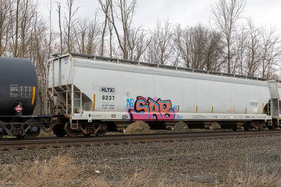 HLTX 6237