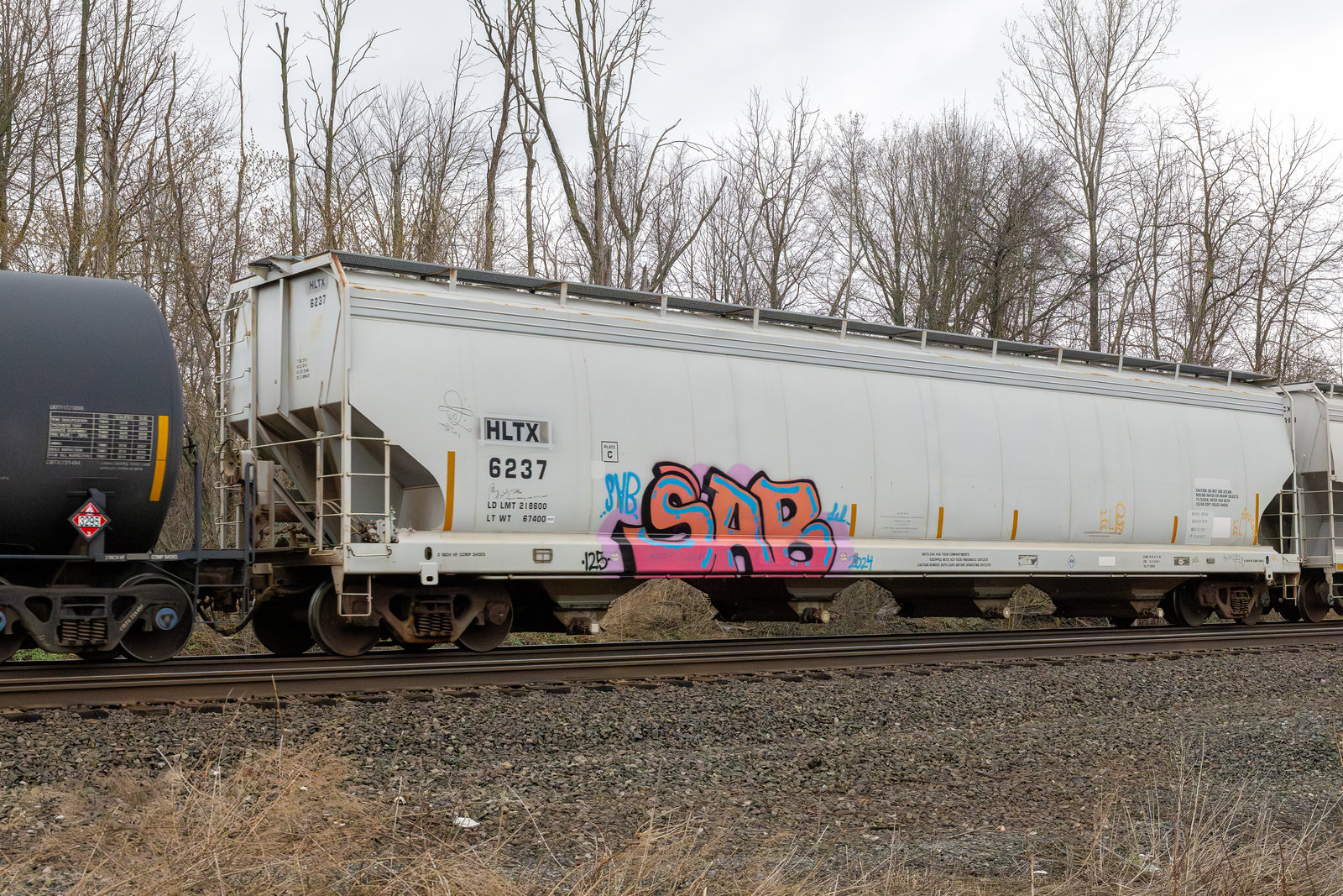 HLTX 6237