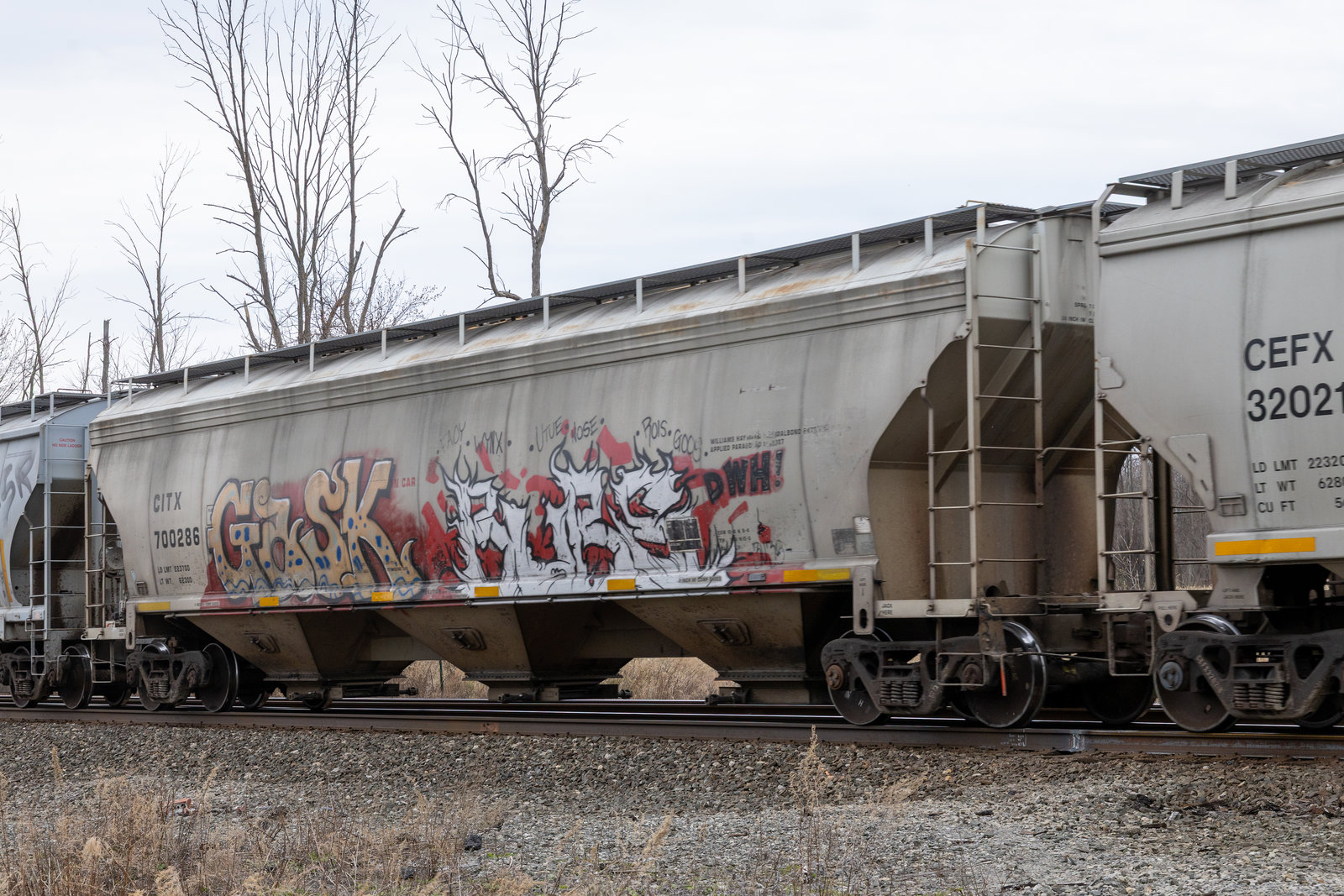 CITX 700286
