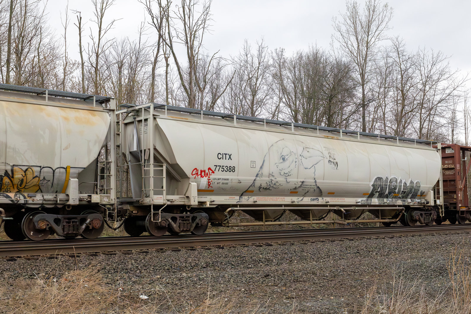 CITX 775388