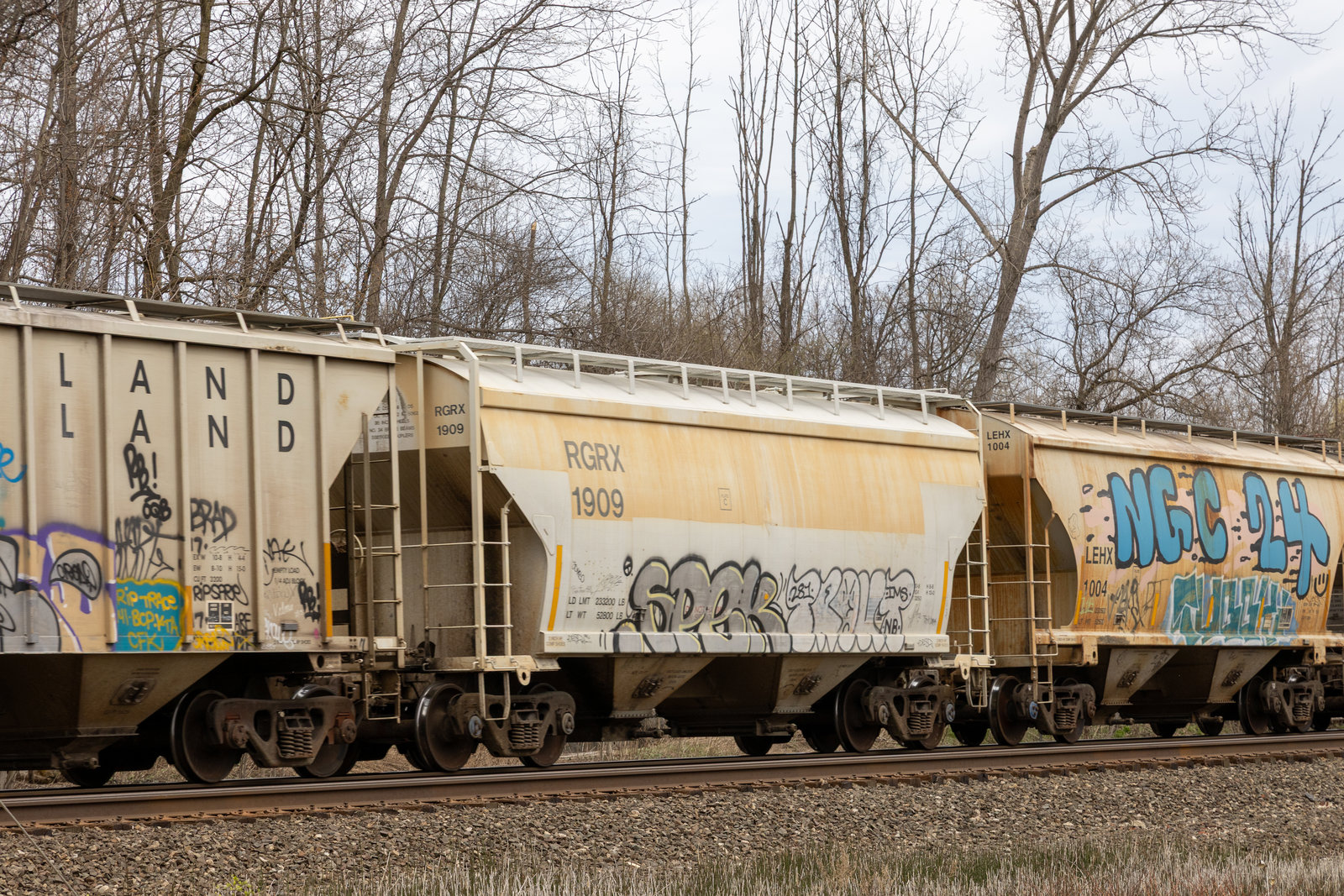 RGRX