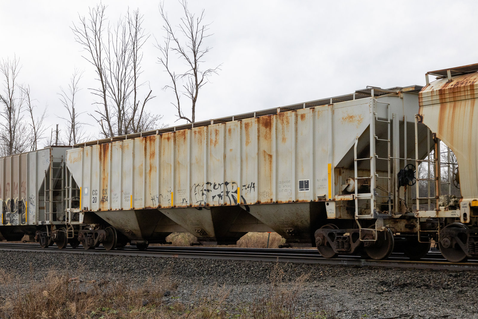 CGCX 20454