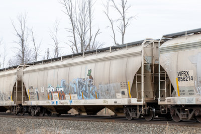 SDPX 96256
