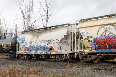 CBFX 441889