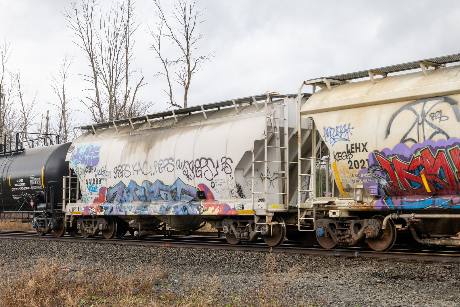 CBFX 441889