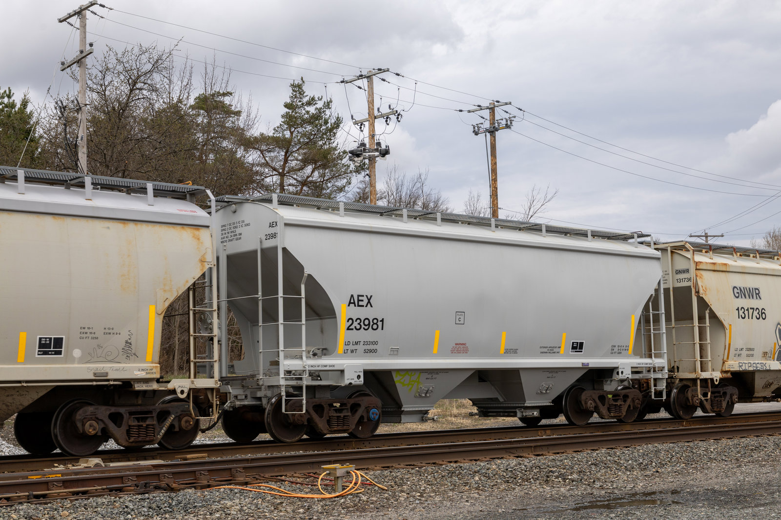 AEX 23981