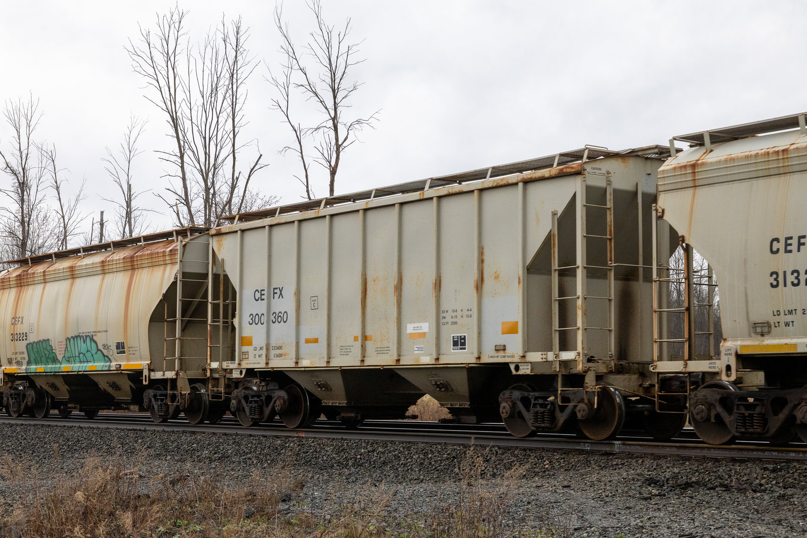 CEFX 300360