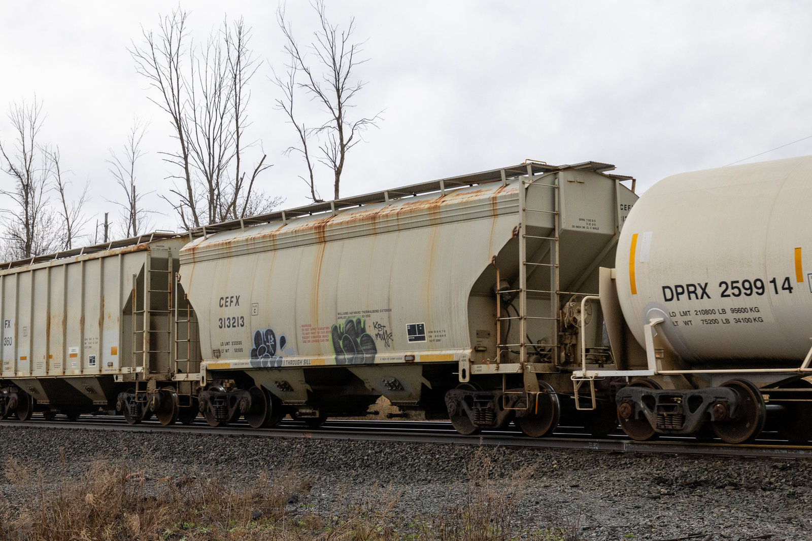 CEFX 313213