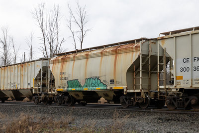 CEFX 313229