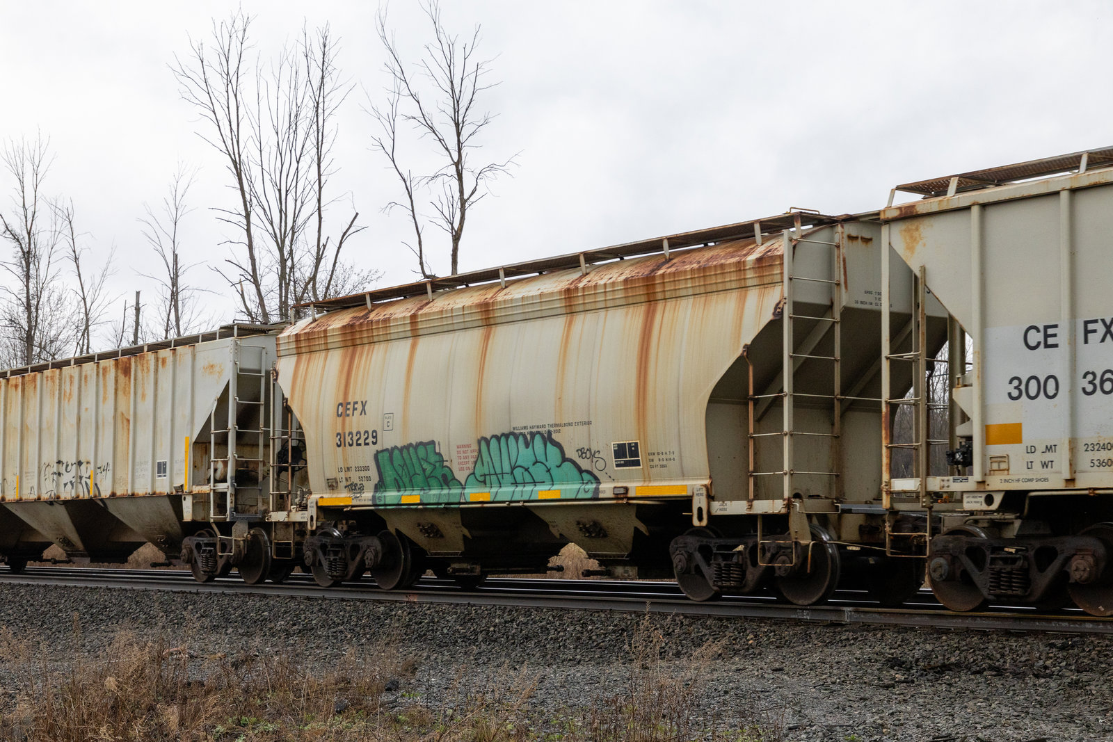 CEFX 313229