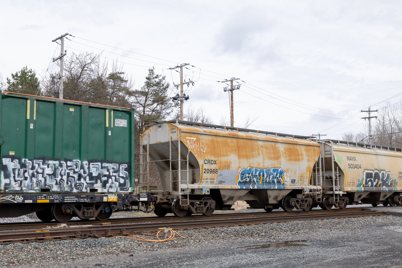 CRDX 20968