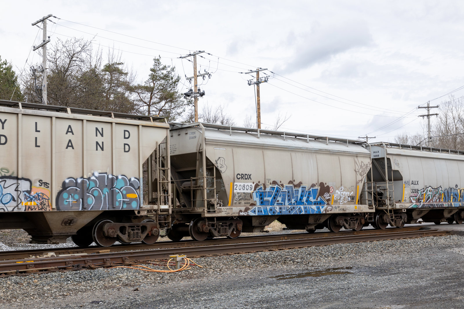 CRDX 20609