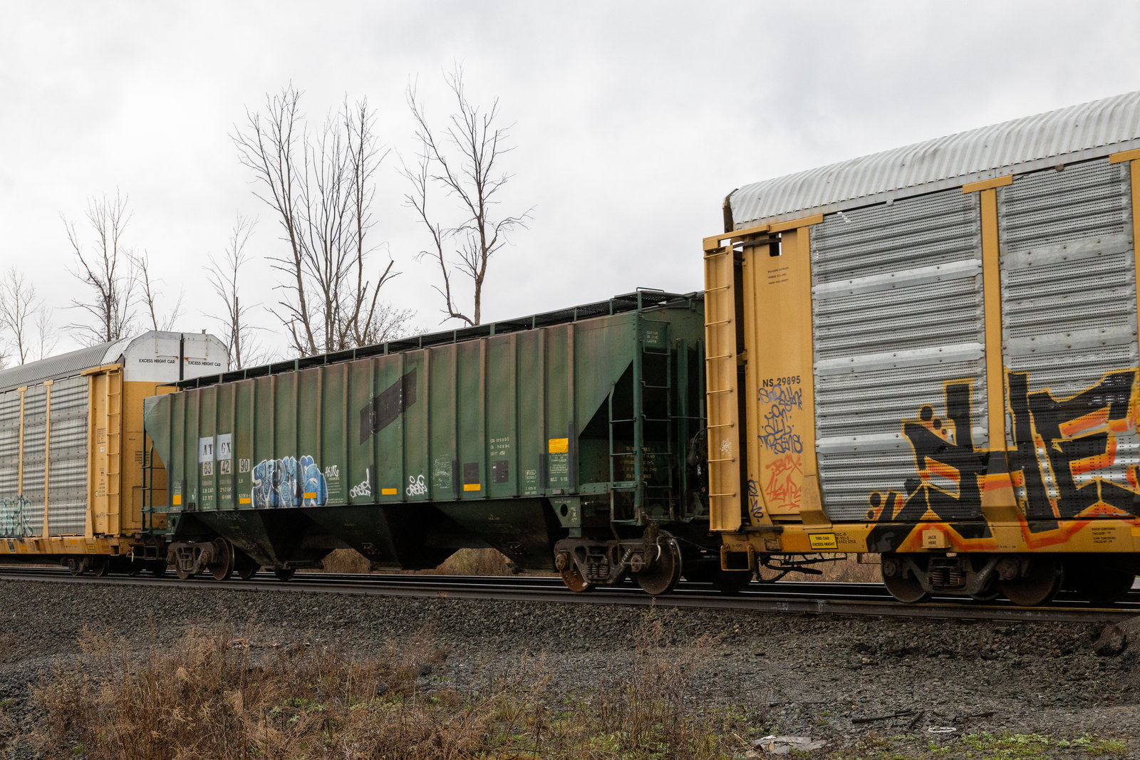 ATGX 834290
