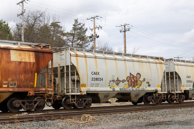 CAEX 328024