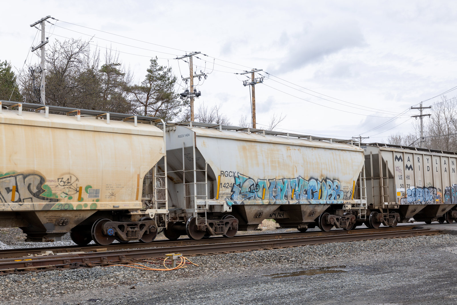 RGCX 1424