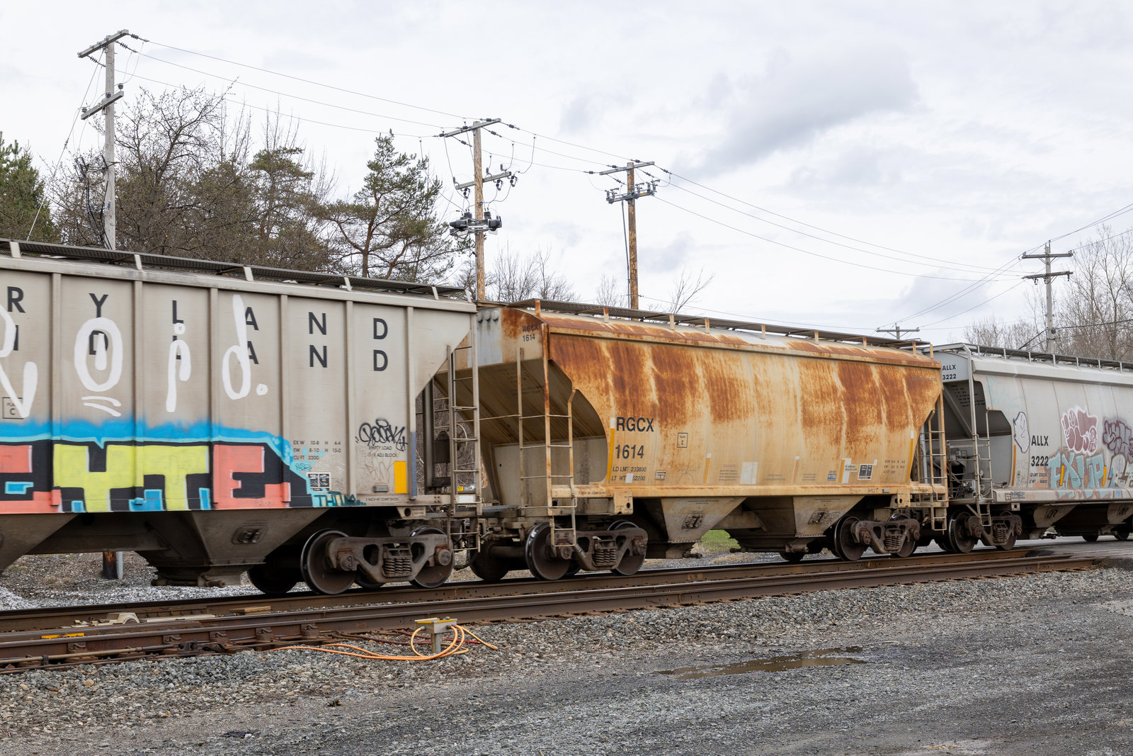 RGCX 1614