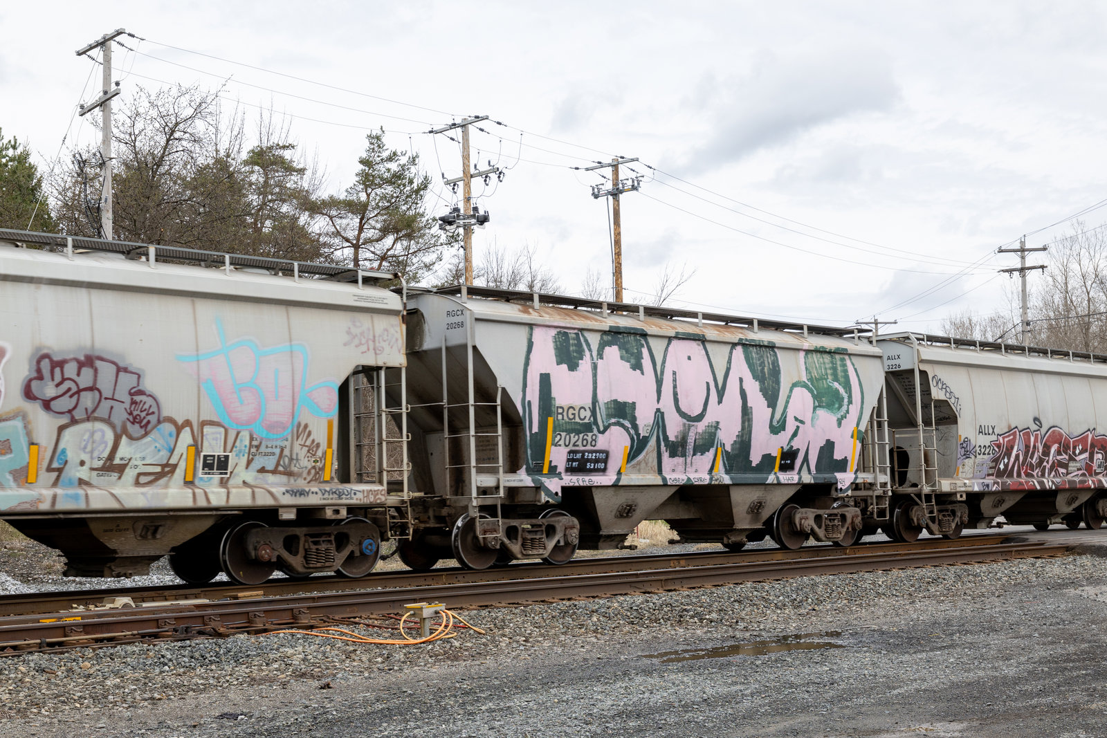 RGCX 20268