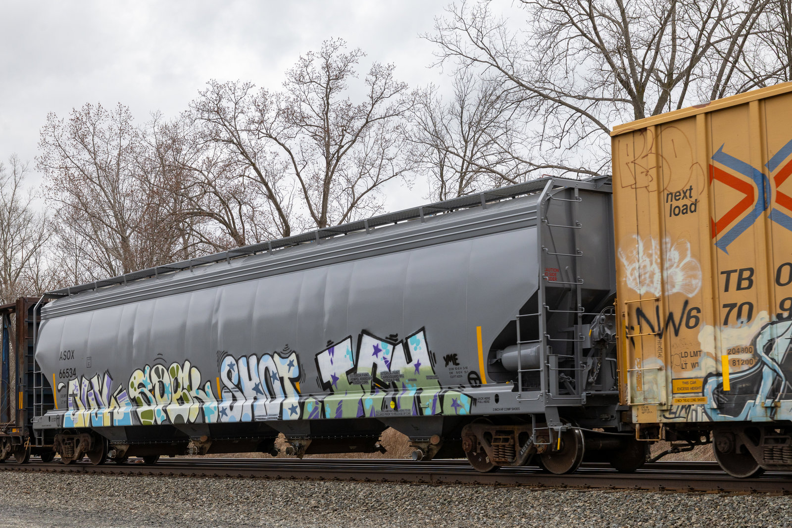 ASOX 66534