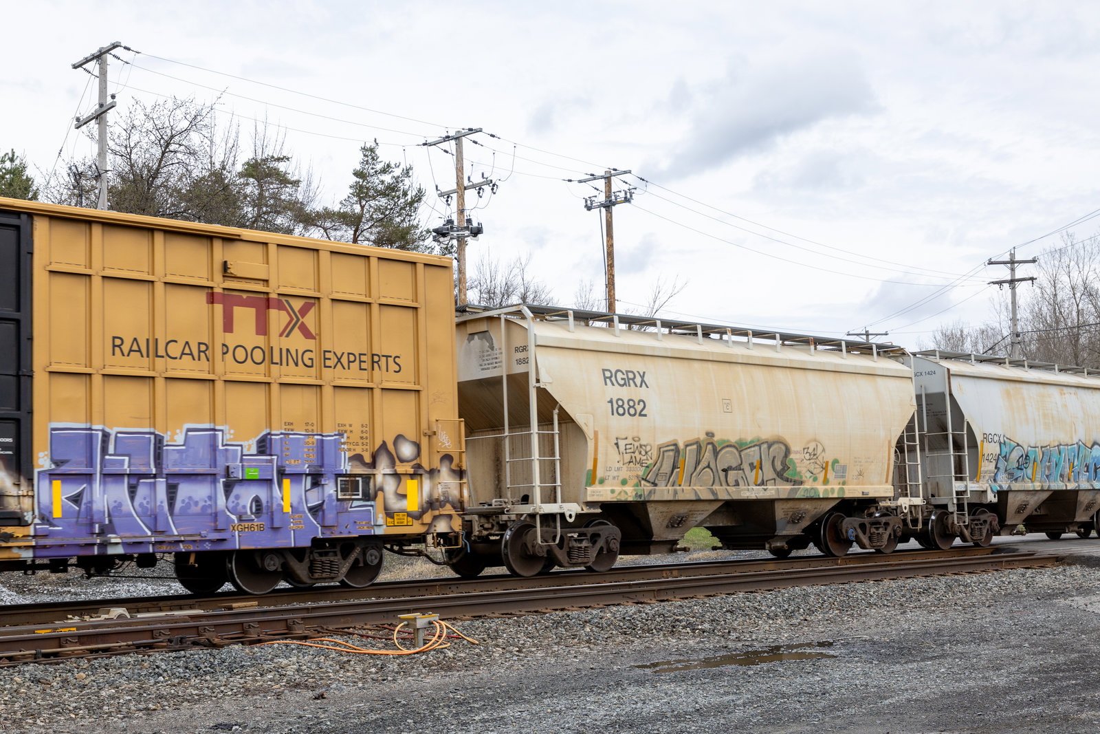 RGRX 1882