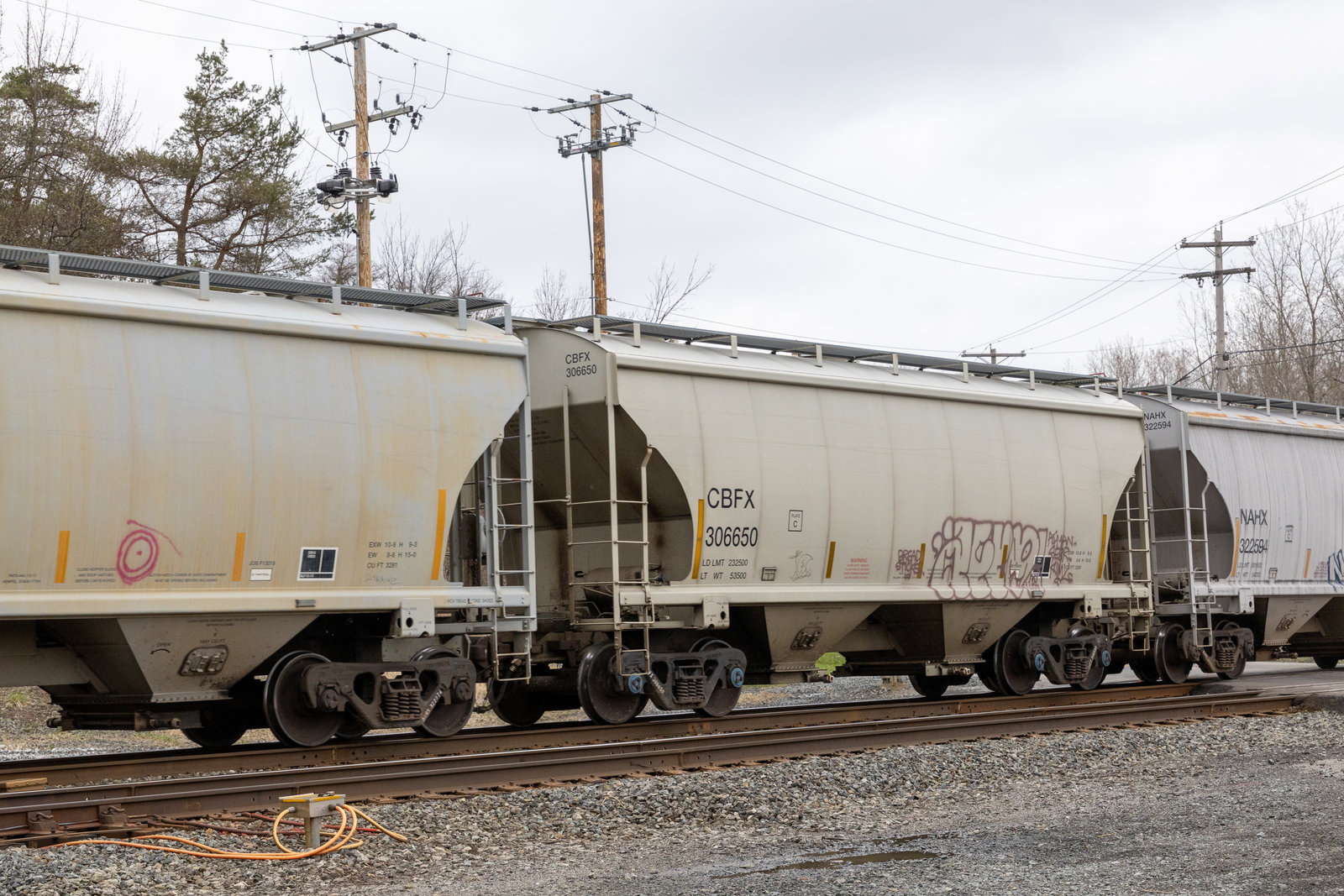 CBFX 306650