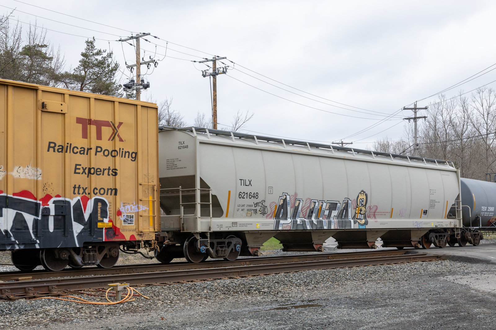 TILX 621648